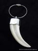 Key chain genuine warthog tusk